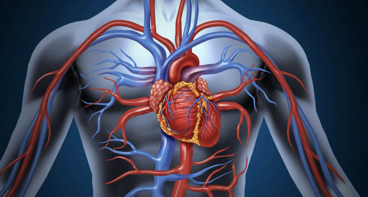 Sinus : définition et explications